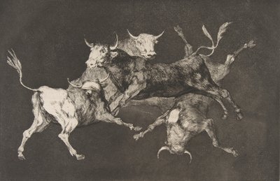 Platte D aus den Disparates: Narren- oder kleine Stiere - fo..., ca. 1816-23 veröffentlicht vor 1877 von Francisco de Goya