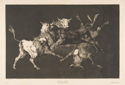 Tafel D aus den Disparates: Narren oder kleine Stiere - Torheit von Francisco de Goya