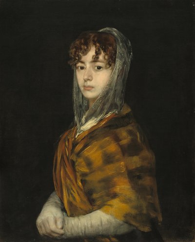 Señora Sabasa Garcia, ca. 1806-1811 von Francisco de Goya