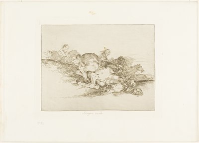 Es passiert immer, Platte acht aus Die Schrecken des Krieges von Francisco Jose de Goya y Lucientes