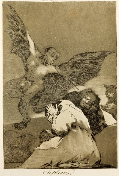 Petzen, Radierung und Aquatinta Nummer 48 in der Serie Capricci von Francisco Jose de Goya y Lucientes