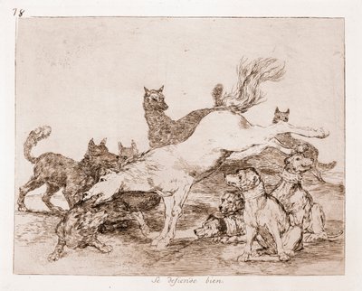 Die Katastrophen des Krieges: Er verteidigt sich gut (Radierung nach Vorzeichnung) von Francisco de Goya