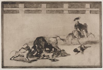 Stierkämpfe: Sie lassen Hunde auf den Stier los von Francisco de Goya