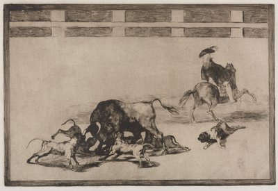 Stierkämpfe: Sie lassen Hunde auf den Stier los, 1876 von Francisco de Goya