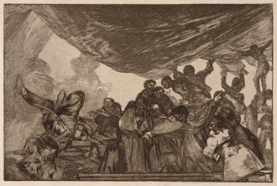  von Francisco de Goya