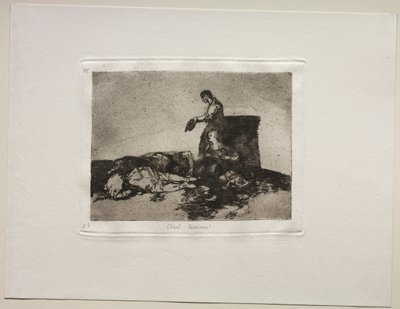 Die Schrecken des Krieges: Grausame Geschichte des Leids von Francisco de Goya
