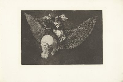 Fliegende Torheit von Francisco de Goya
