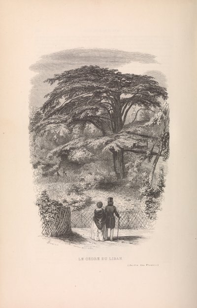 Der Jardin des Plantes, Beschreibungen und Sitten der Säugetiere von Francois Boitard
