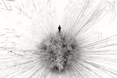Einsame Figur inmitten von Schilf von Francois Casanova
