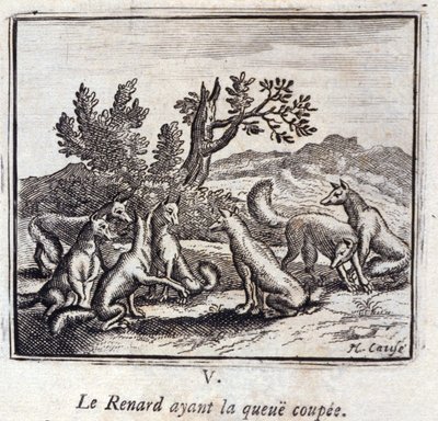 Illustration aus den 