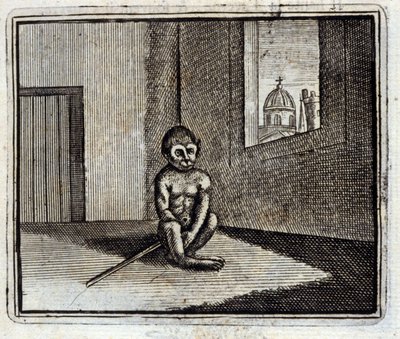 Der Affe. Fabeln von Jean de La Fontaine. Illustration von François Chauveau. Ausgabe von 1728 von Francois Chauveau