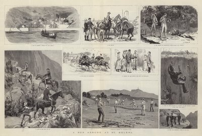 Ein Landgang auf St. Helena von Frank Dadd