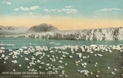 Muir-Gletscher, Glacier Bay, Alaska, USA von Frank H. Nowell