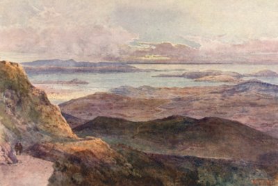 Neuseeland: Coromandel (Farblithographie) von Frank H Wright