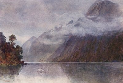 Neuseeland: Im Milford Sound von Frank H Wright