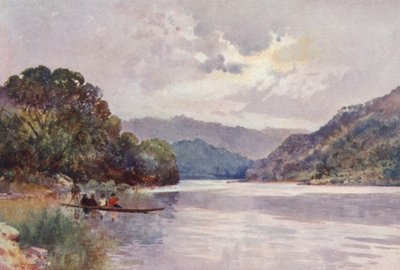 Neuseeland: Morgen am Wanganui-Fluss von Frank H Wright