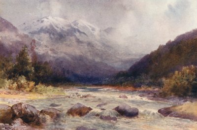 Neuseeland: Am Bealey River von Frank H Wright