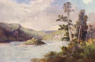 Neuseeland: Weiße Klippen, Buller River von Frank H Wright