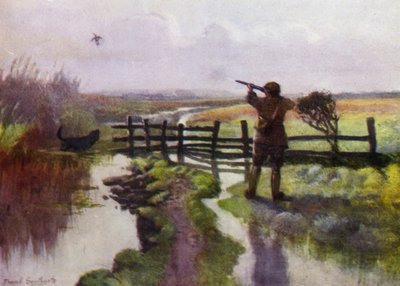 Norfolk Broads: Ein Oktobermorgen in den Sümpfen von Frank Southgate