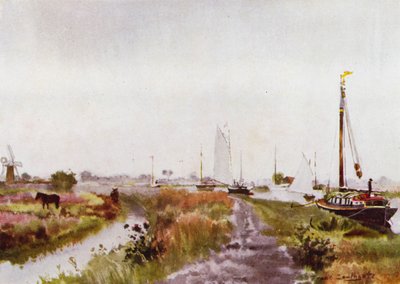 Norfolk Broads: Unterhalb von Potter Heigham von Frank Southgate