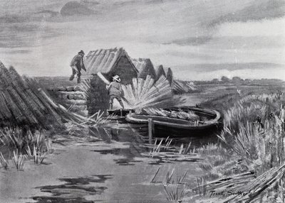 Norfolk Broads: Schilf stapeln von Frank Southgate
