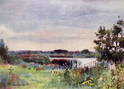 Norfolk Broads: Salhouse Great Broad von Frank Southgate
