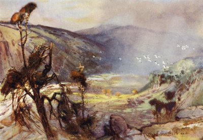 Sturm in den Cheviots von Frank Southgate