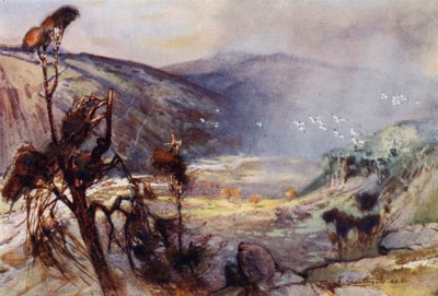 Sturm in den Cheviots von Frank Southgate