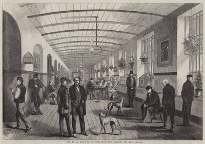 Das Royal Hospital of Bethlehem, die Galerie für Männer von Frank Vizetelly