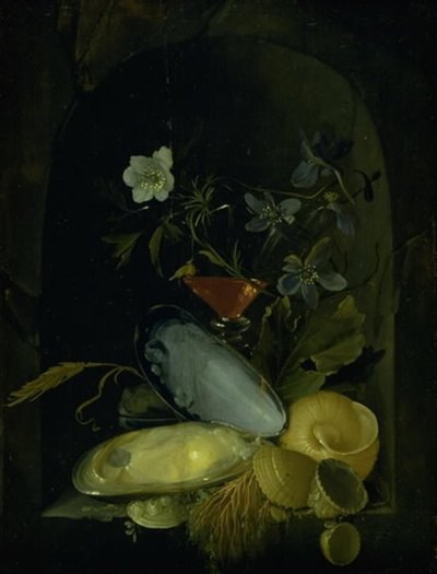 Stillleben mit Herzmuscheln und blauen Anemonen von Frans van I Mieris