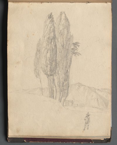 Album mit Ansichten von Rom und Umgebung, Landschaftsstudien, Seite 20a: Bäume von Franz Johann Heinrich Nadorp