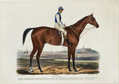 Ganges von Franz Krüger