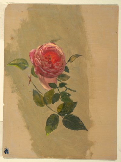 Zeichnung, Ein Rosenast, 1860–70 von Frederic Edwin Church