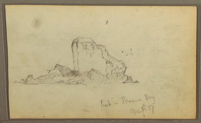 Vögel, "Felsen in der Panama-Bucht"; Rückseite: "Schwere Reben", 15. Mai 1857 von Frederic Edwin Church
