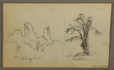 Vögel, "Felsen in der Panama-Bucht"; Rückseite: "Schwere Reben", 15. Mai 1857 von Frederic Edwin Church
