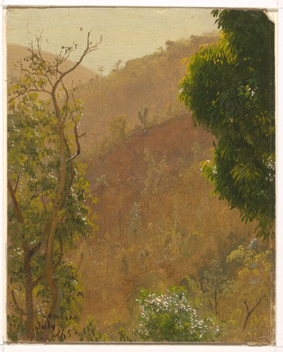 Zeichnung, Landschaft, Juli 1865 von Frederic Edwin Church