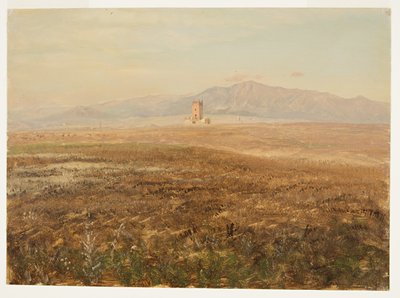 Mexikanische Landschaft von Frederic Edwin Church
