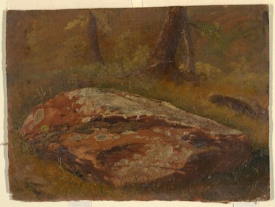 Moosiger Felsen von Frederic Edwin Church