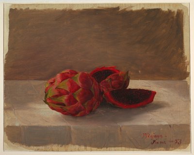 Die Pitajaya-Frucht, Kolumbien, Juni 1853 von Frederic Edwin Church