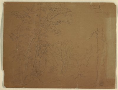 Bäume, Grand Manan Island, Kanada, 1851 von Frederic Edwin Church