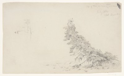 Immergrüner Baum in der Nähe des Ufers mit einem Detail des Leuchtturms und eines Hauses, Mount Desert, Maine von Frederic Edwin Church