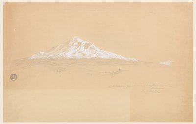 Der Chimborazo vom Haus des Senior Pablo Bustamante, Riobamba, Ecuador von Frederic Edwin Church