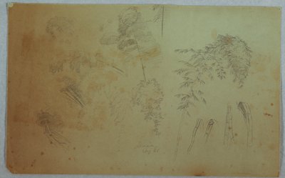 Studien von Baumwipfeln und Bambus, Jamaika von Frederic Edwin Church