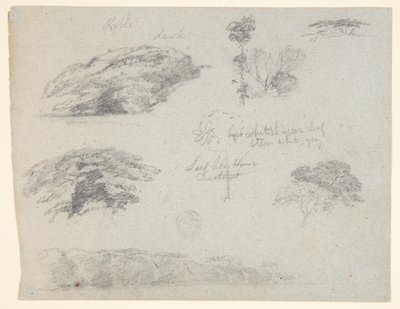 Bäume, Baumwipfel und ein bewaldetes Ufer, Saddleback, Maine von Frederic Edwin Church