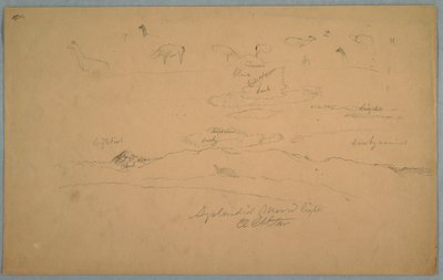 Ansichten von Ecuador: Lamas weiden und ein bewölkter mondbeschienener Himmel mit El Altar hinter einer Bergkette von Frederic Edwin Church