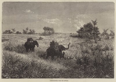 Indien und der Prinz von Wales, Tigerjagd vom Howdah aus von Frederic Theodore Lix