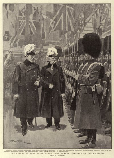 Die Rückkehr von Lord Roberts, die Irish Guards inspiziert von ihrem Colonel von Frederic de Haenen