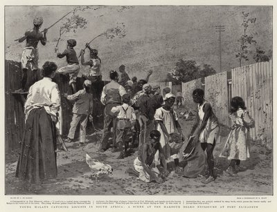 Junge Malaien fangen Heuschrecken in Südafrika, eine Szene im Hafenbereich von Port Elizabeth von Frederic de Haenen