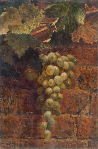 Trauben von Frederick George Harris