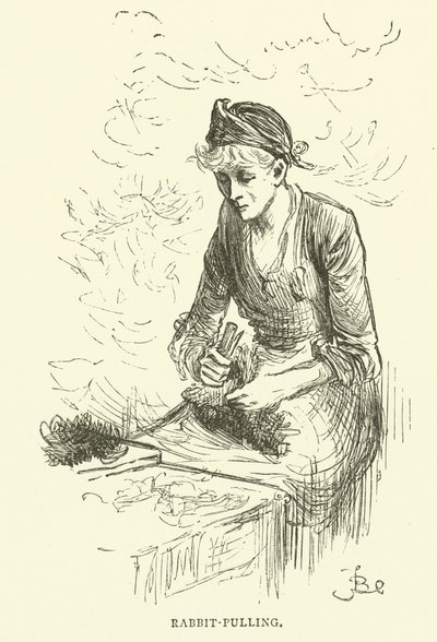 Kaninchenziehen von Frederick L. Bernard